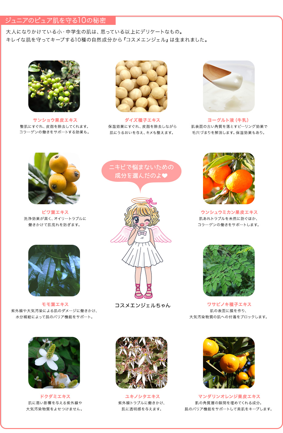 ジュニアのピュア肌を守る10の秘密